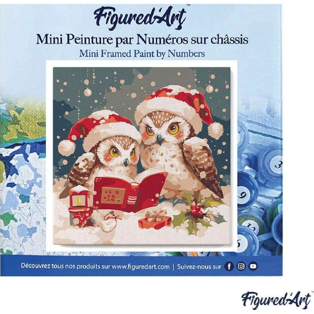 Mini obraz do malowania po numerach 20 x 20 cm z ramką Sowy Święty Mikołaj czyta
