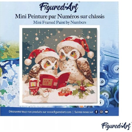 Mini obraz do malowania po numerach 20 x 20 cm z ramką Sowy Święty Mikołaj czyta