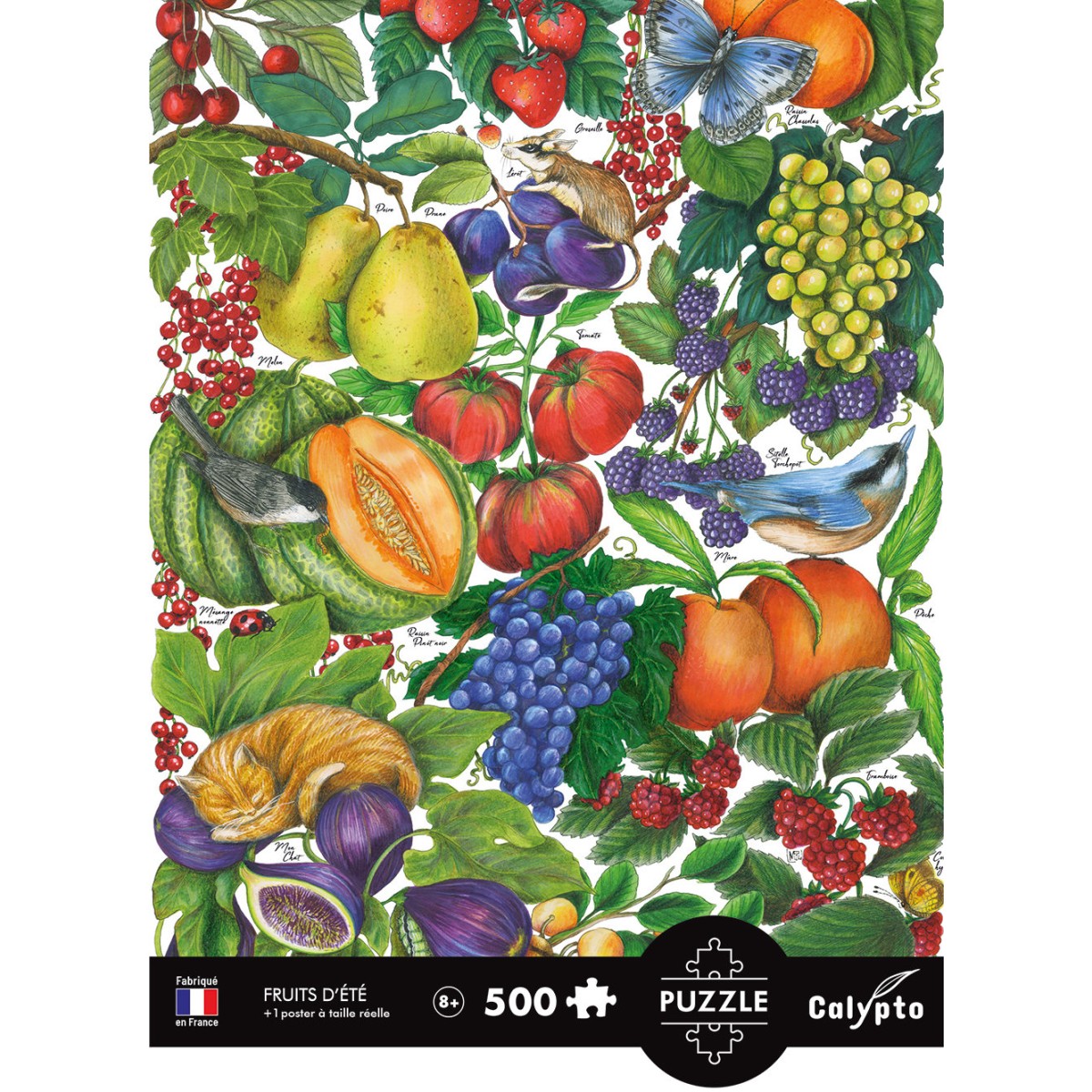 Puzzle 500 elementów Letnie Owoce © Marie-Pierre Émorine, Calypto