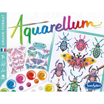Aquarellum Insektarium 3 duże obrazy i farby +7, SentoSphere