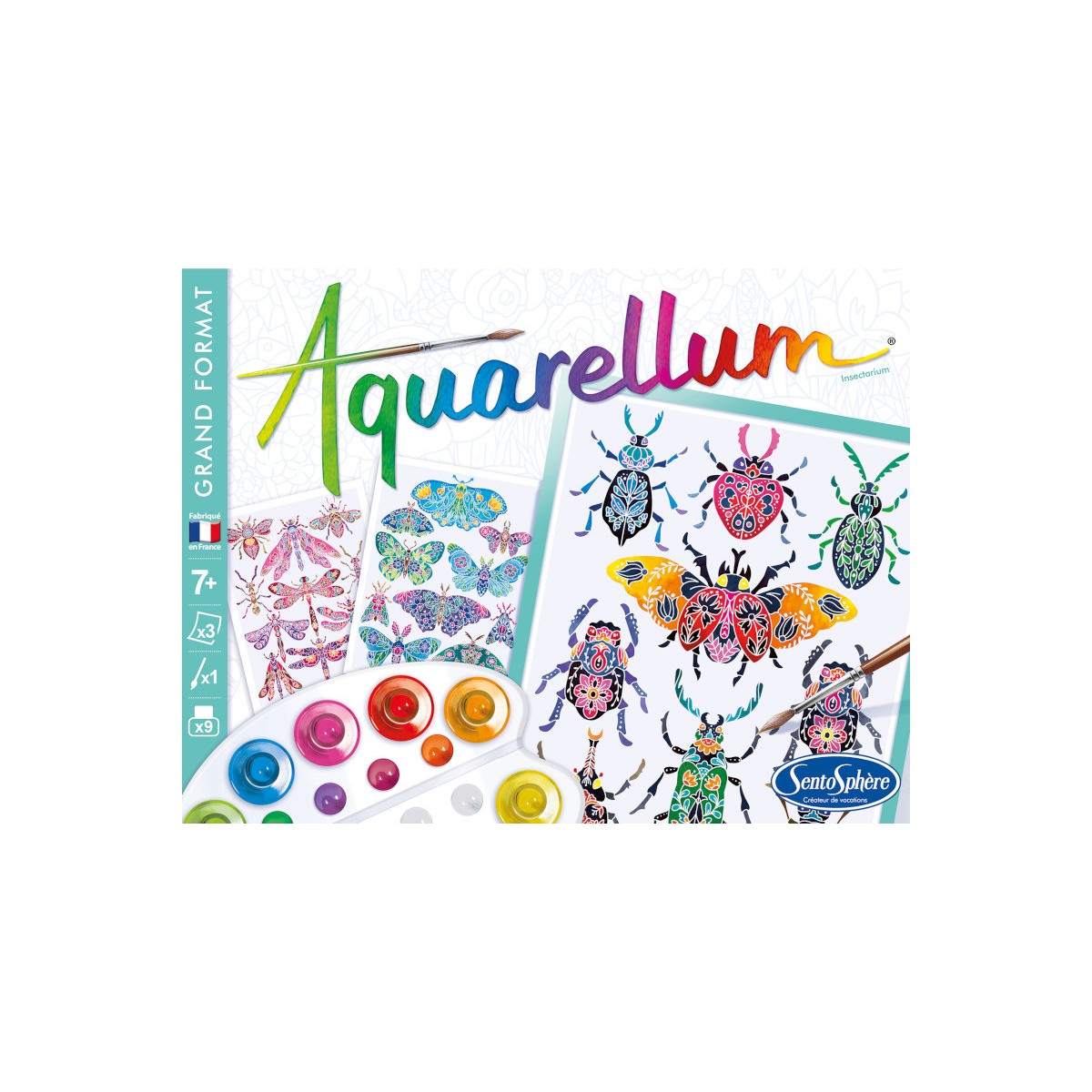Aquarellum Insektarium 3 duże obrazy i farby +7, SentoSphere