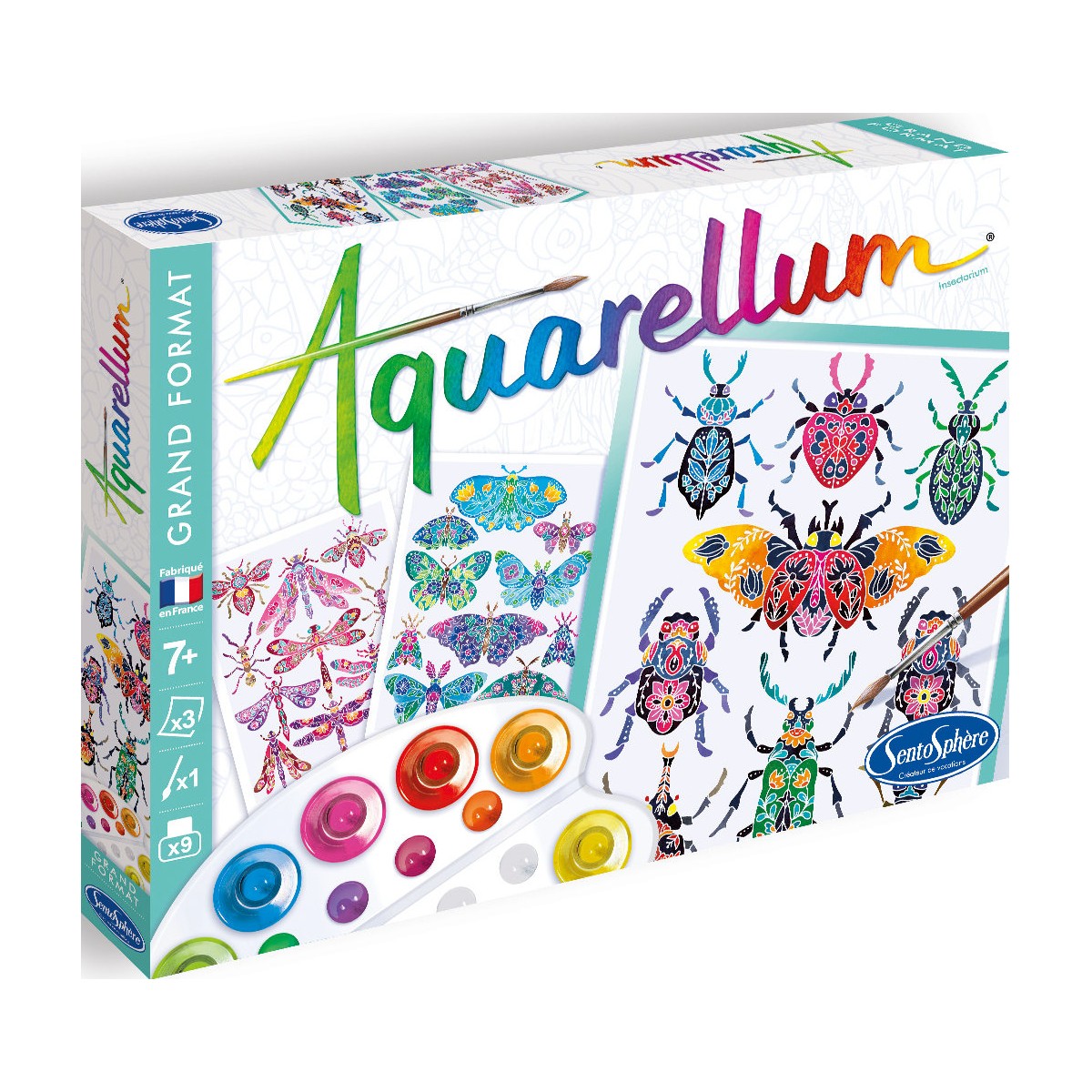 Aquarellum Insektarium 3 duże obrazy i farby +7, SentoSphere