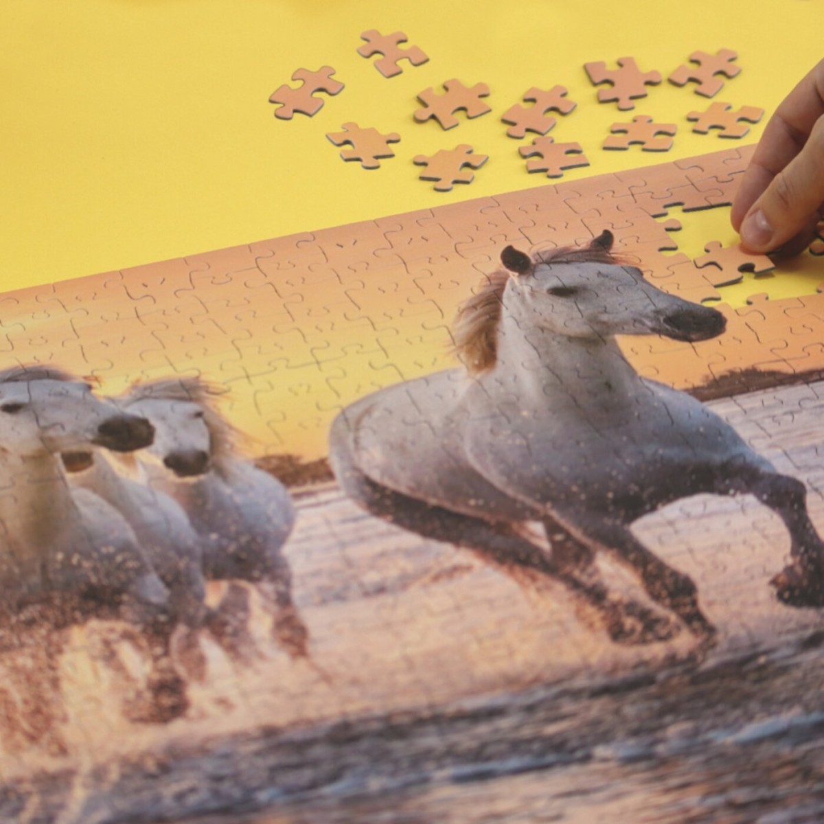 Puzzle 500 el. XL Konie w Camargue, Calypto | Dadum Kraków