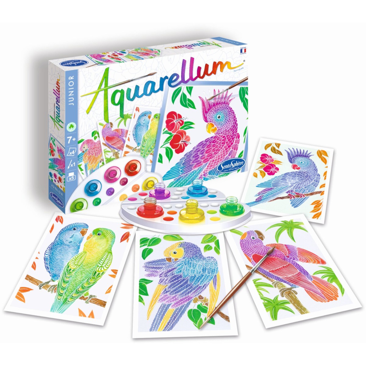 Aquarellum Papugi 4 plansze do malowania i farby, SentoSphere