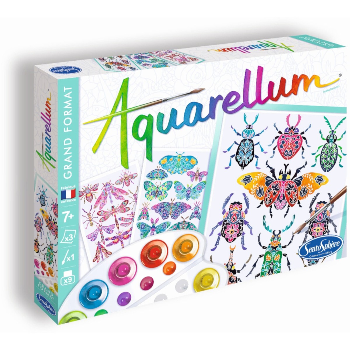 Aquarellum Insektarium 3 duże obrazy i farby +7, SentoSphere