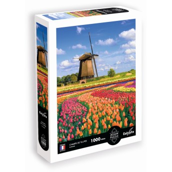 Puzzle 1000 Pola Tulipanów - Holandia, Calypto