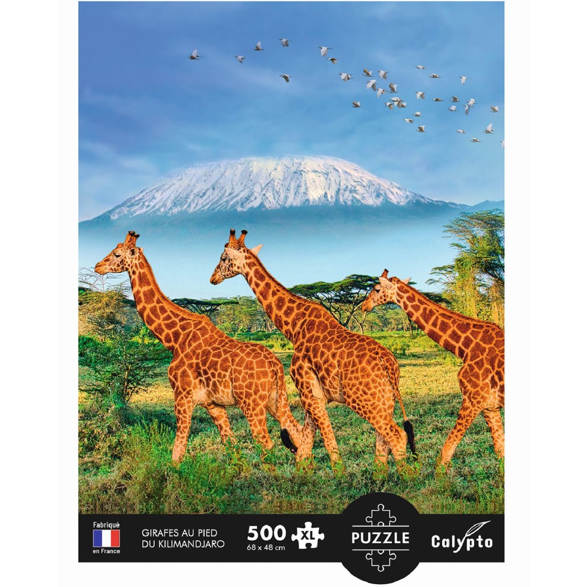 Puzzle 500 elementów XL Żyrafy pod Kilimandżaro, Calypto | Dadum