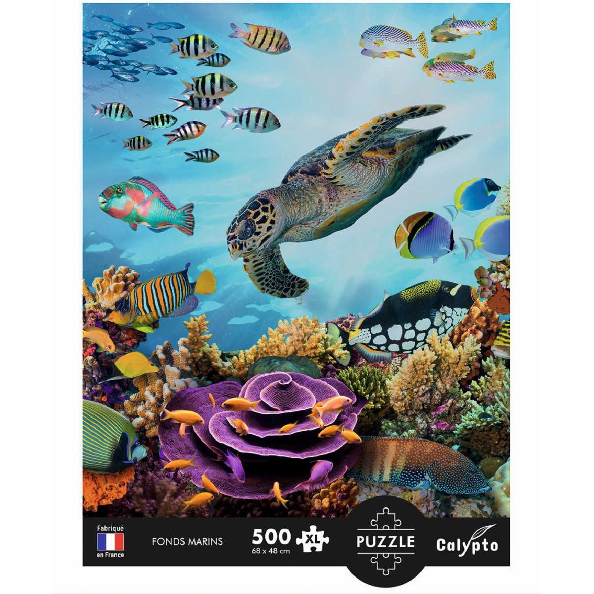 Puzzle 500 elementów XL Głębiny Morskie, Calypto | Dadum
