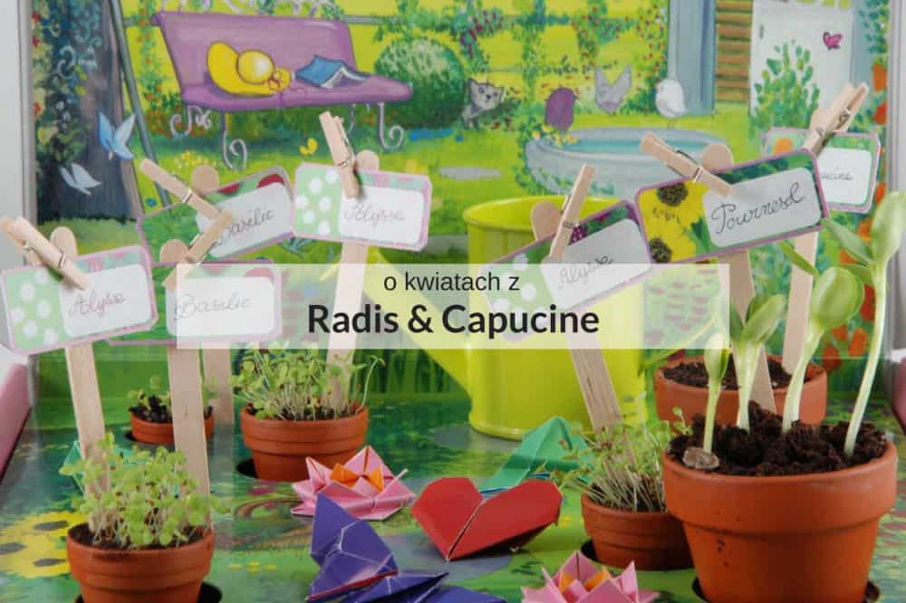 Zestaw Radis & Capucine do hodowania roślin dla dzieci