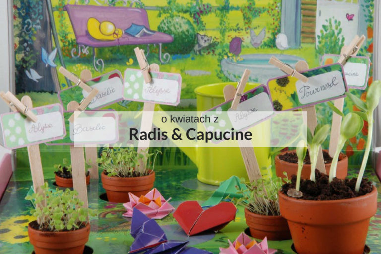 Zestaw Radis & Capucine do hodowania roślin dla dzieci
